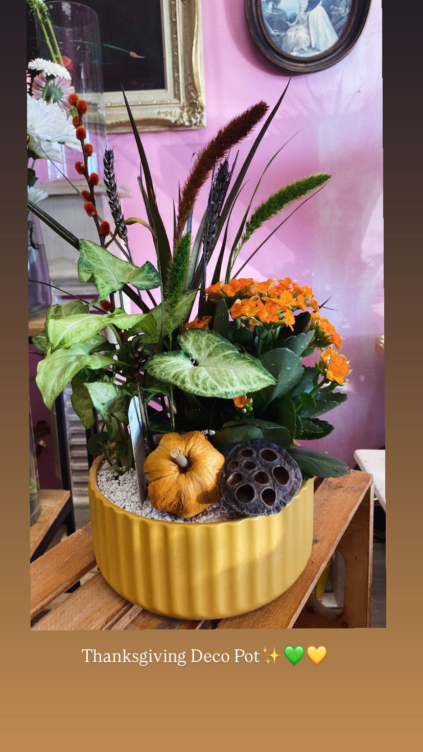 Thanksgiving Harvest Deco Pot